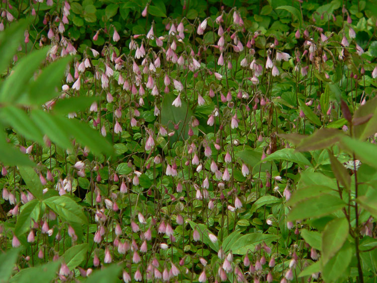 P1150349