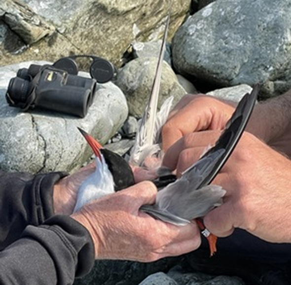 COTE X39 getting a GPS installed