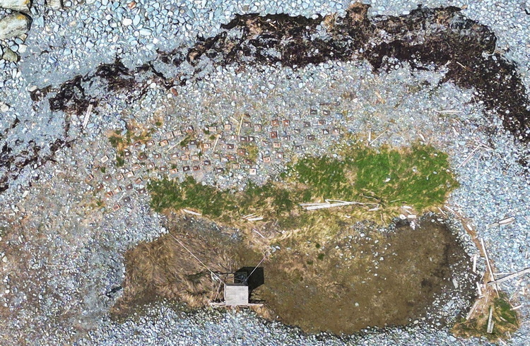 Close up of Roseate Tern nesting shelter placement - North Brother - photo by Luc Bilodeau