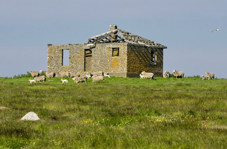 The stone house on Outer Bald Tusket Island, June 29, 2014 - Ted D'Eon photo
