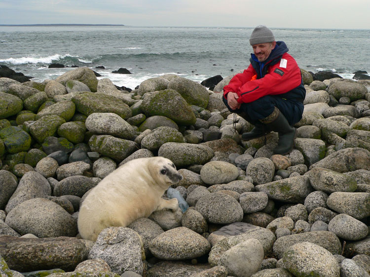 Henri d'Entremont with Grey Seal pup - Ted D'Eon photo - Jan 6, 2006
