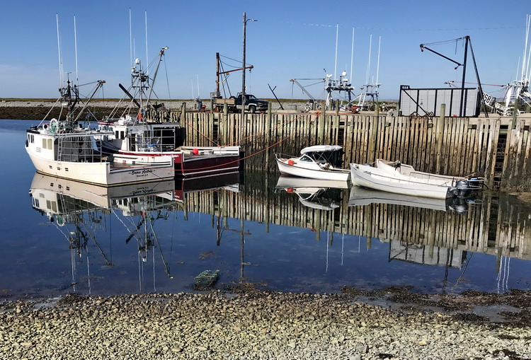 Some of the boats at Abbott's Harbour - July 8, 2019 - Ted D'Eon photo