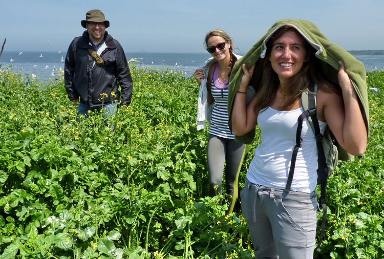 My assistants: Mark, Christine, and Danielle - North Brother, June 25, 2013 - Ted D'Eon photo