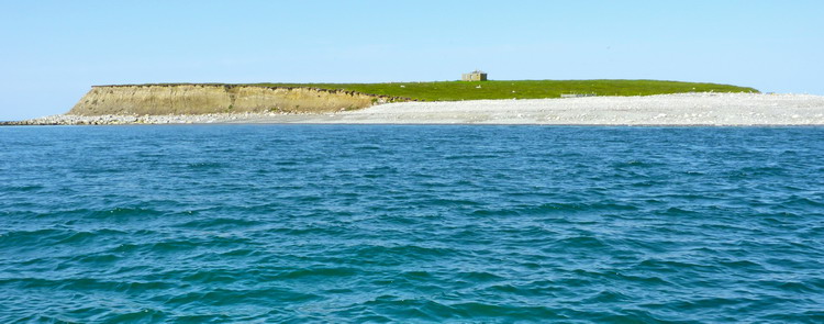 Outer Bald Tusket Island, June 29, 2014 - Ted D'Eon photo