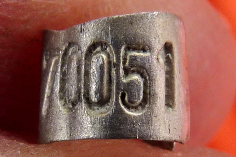 The Brazilian band - North Brother, June 15, 2017 - Ted D'Eon photo