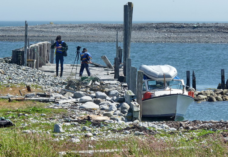 What's left of the wharf on Flat Island, July 10, 2017 - Ted D'Eon photo