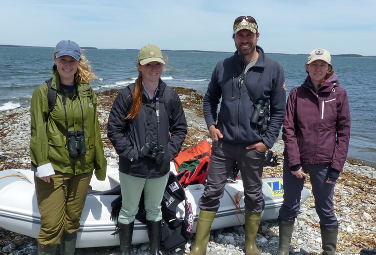 The crew: Natalie, Manon, Shawn, and Julie - Gull Island, May 30, 2018 - Ted D'Eon photo