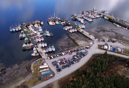 dennis_point_1