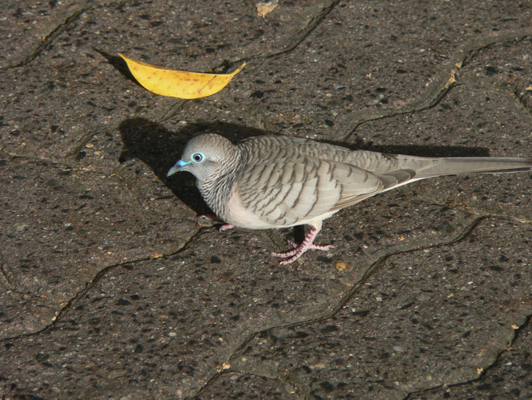 P1020110