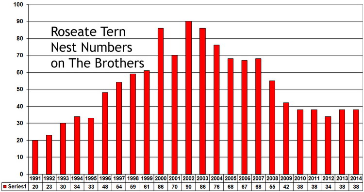Roseate Tern nest numbers - The Brother, 1991 to 2014