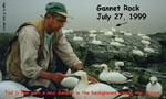 Ted with Gannet and Decoys on Gannet Rock, Nova Scotia - Ingrid D'Eon photo - July 27, 1999