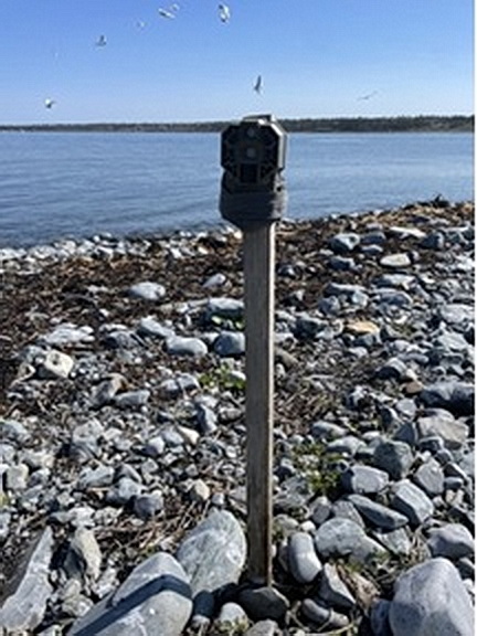 Trail camera on Northern end of North Brother